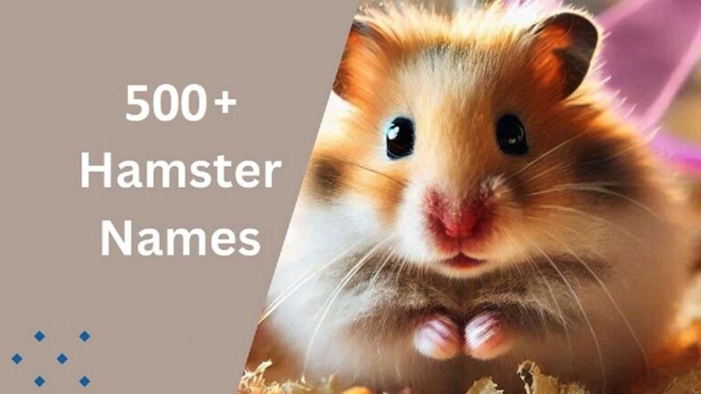 Hamster Names