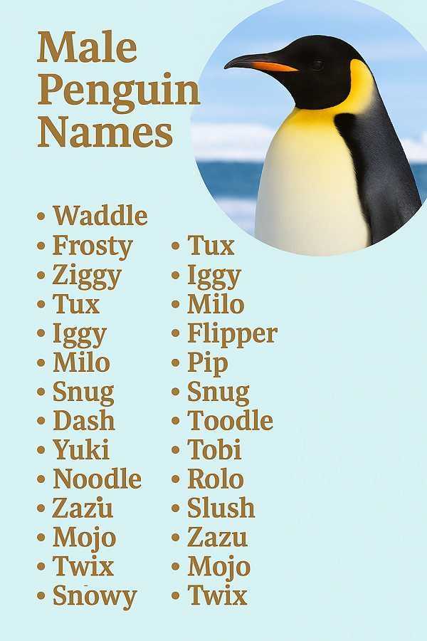 Male Penguin Names