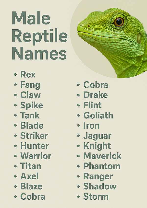 Male Reptile Names