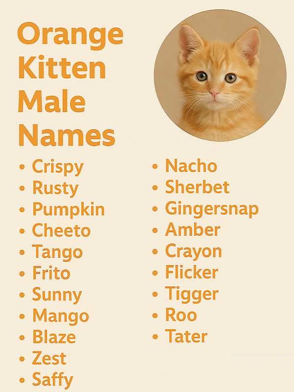 Orange Kitten Male Names