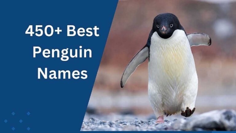 Penguin Names