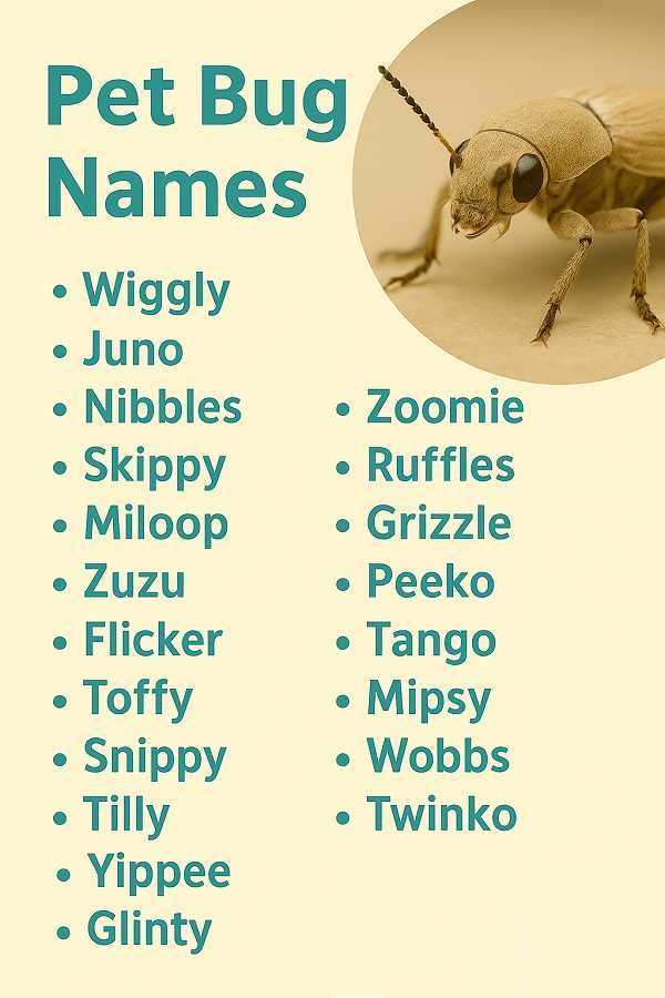Pet Bug Names