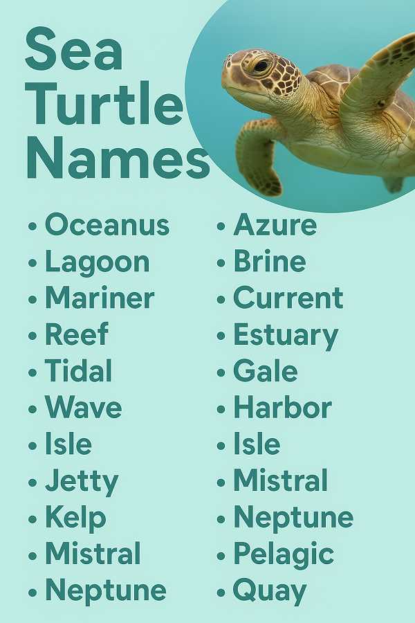 Sea Turtle Names