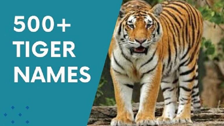 Tiger Names