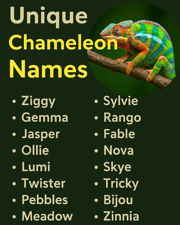 Unique Chameleon Names