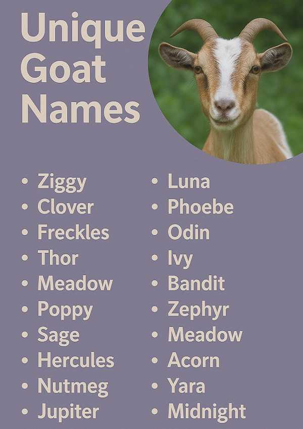 Unique Goat Names