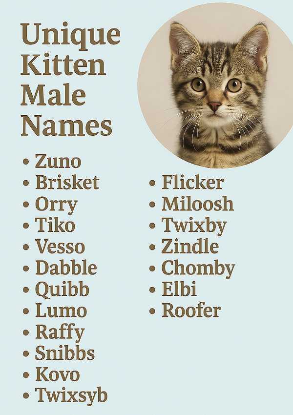 Unique Kitten Male Names