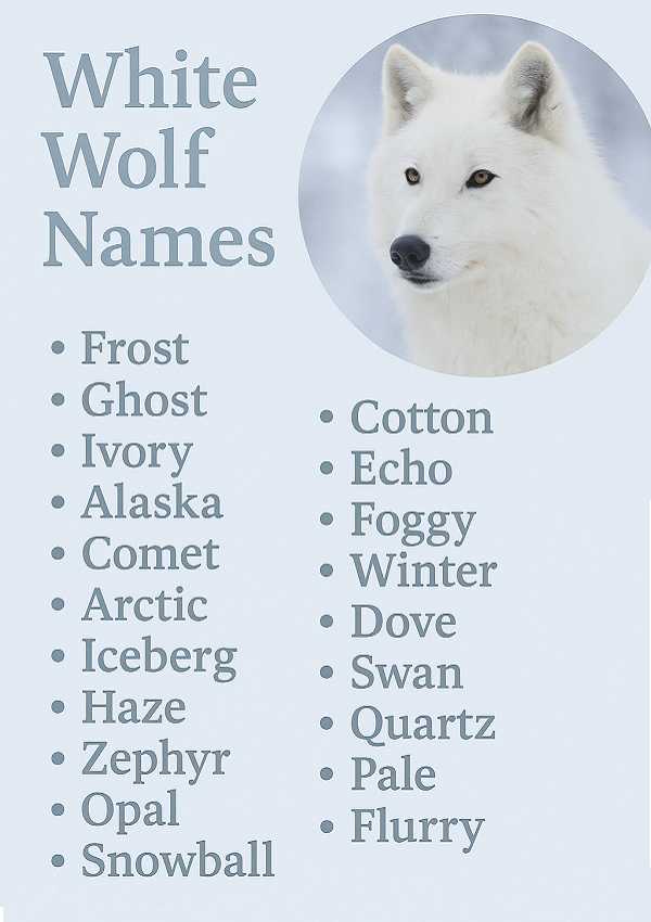 White Wolf Names