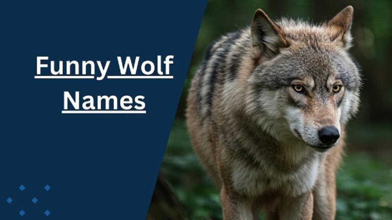 Wolf Names