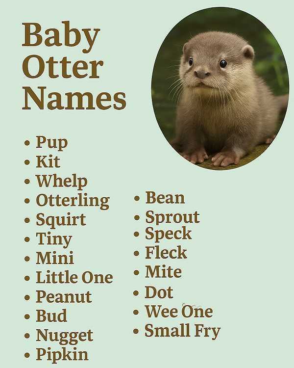 Baby Otter Names