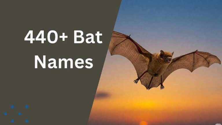 Bat Names