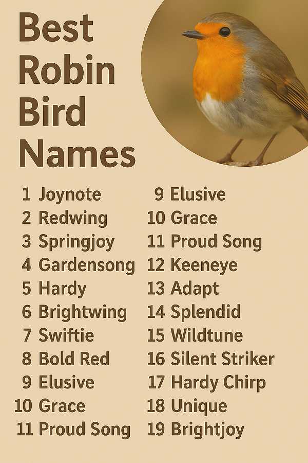 Best Robin Bird Names