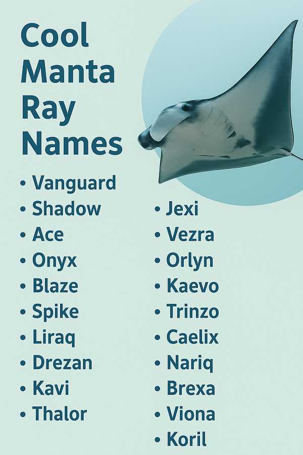 Cool Manta Ray Names