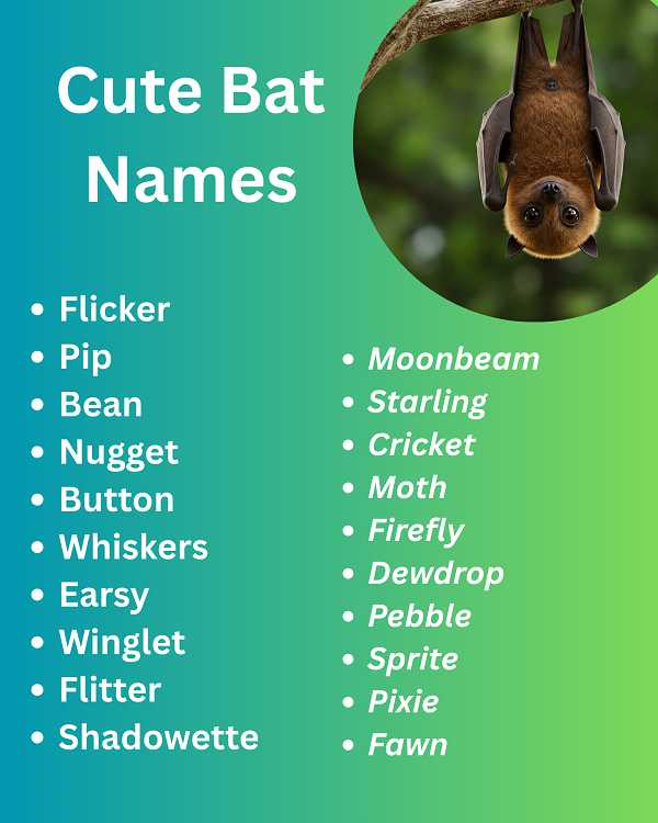 Cute Bat Names