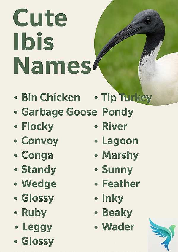 Cute Ibis Names