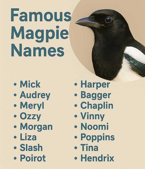 Famous Magpie Names