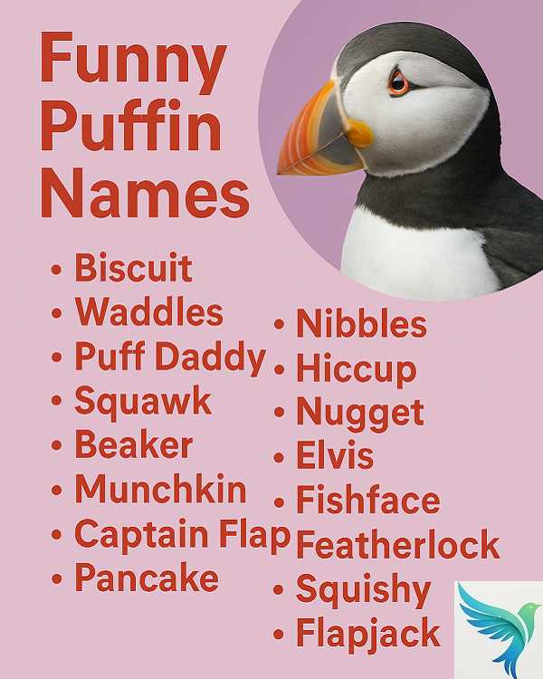 Funny Puffin Names