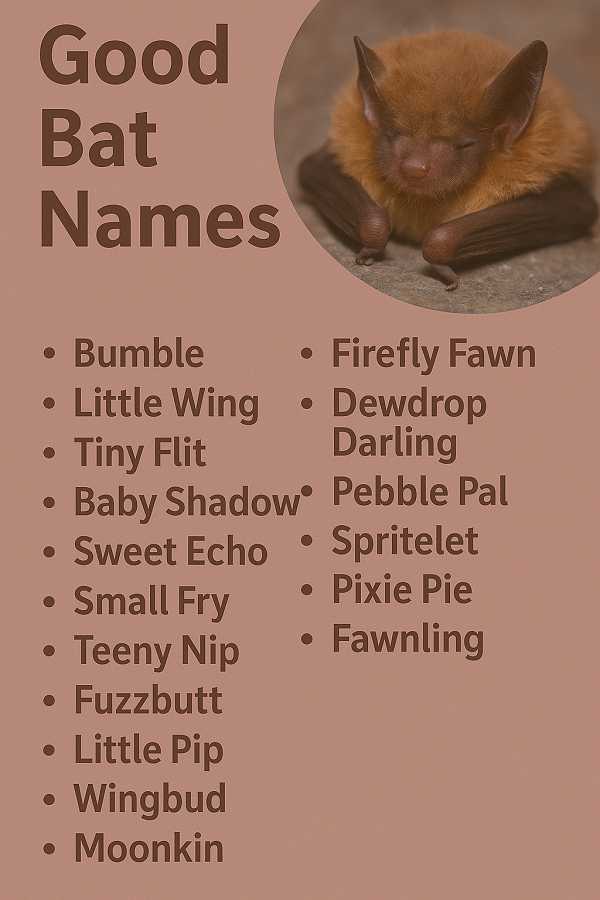 Good Bat Names