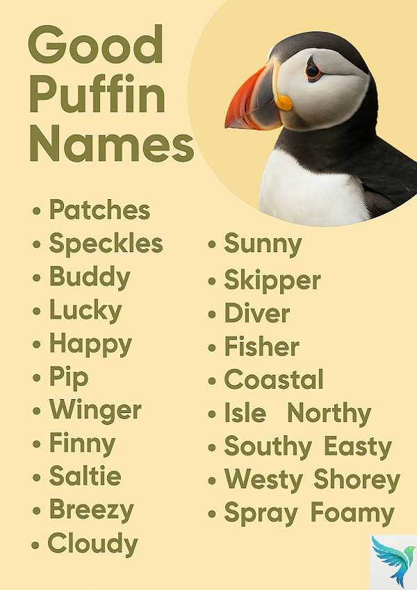 Good Puffin Names