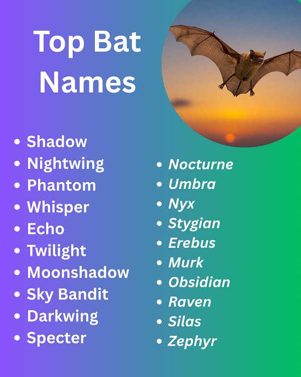 Top Bat Names