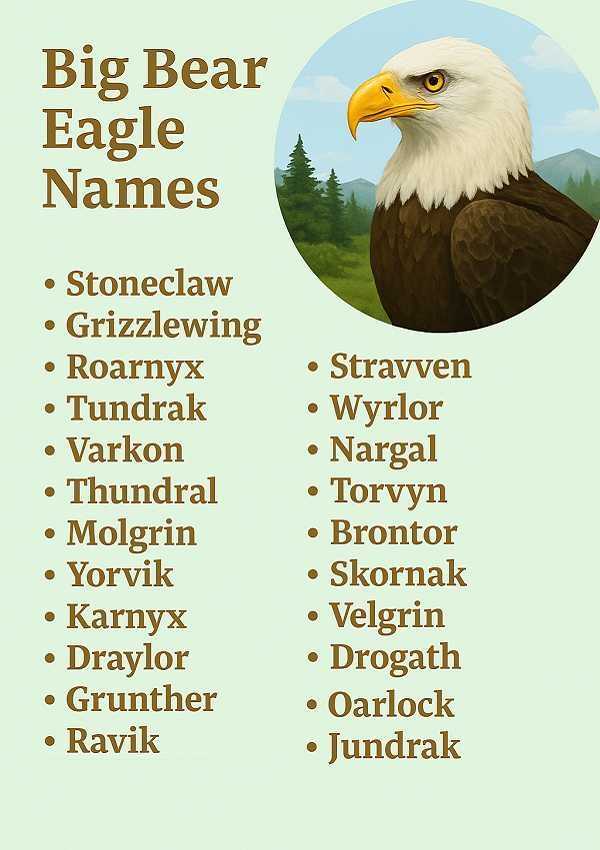 Big Bear Eagle Names