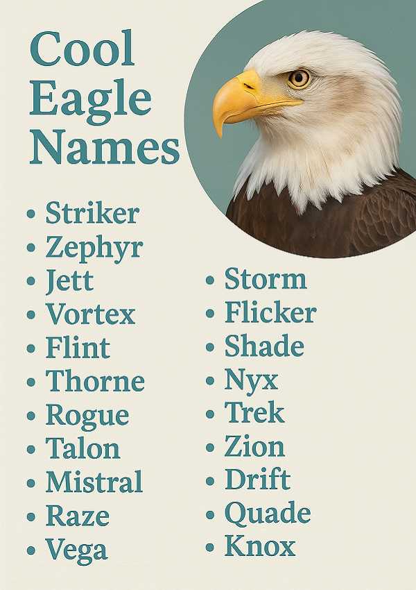 Cool Eagle Names