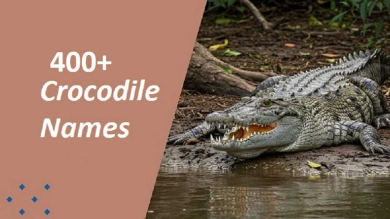 Crocodile Names