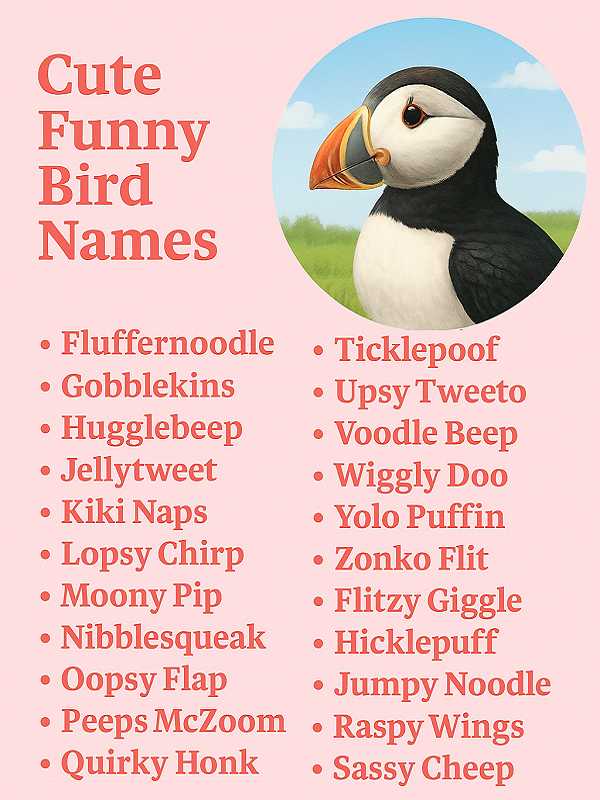 Cute Funny Bird Names