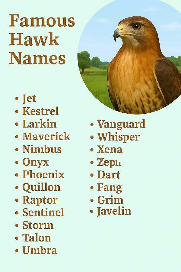 Famous Hawk Names