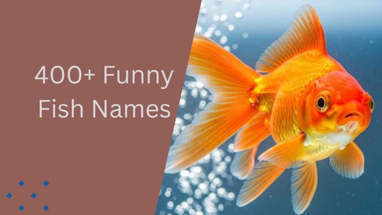 Fish Names