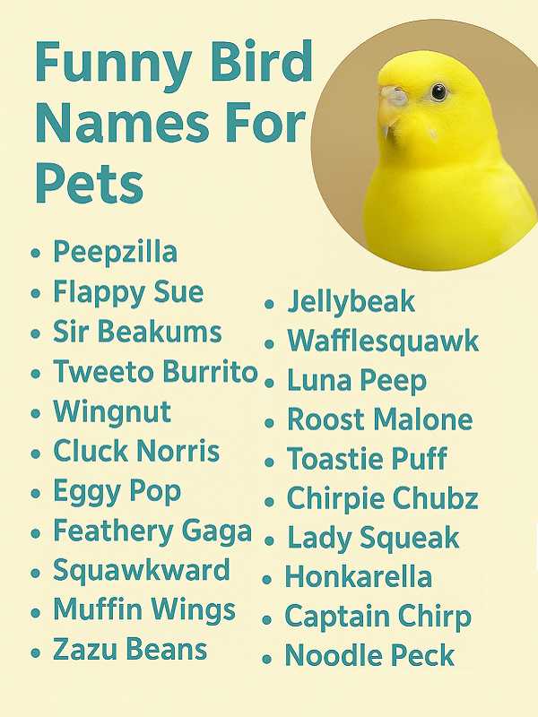 Funny Bird Names For Pets