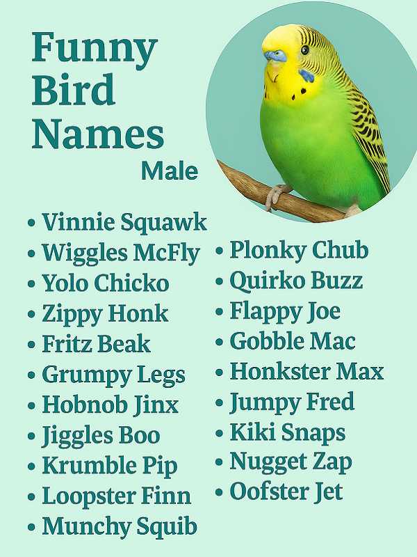 Funny Bird Names Male
