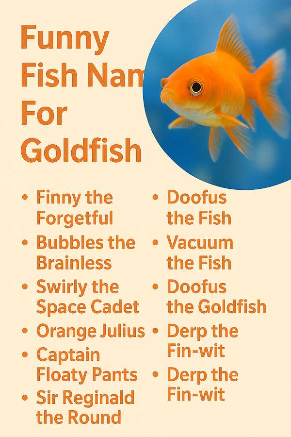 Funny Fish Names For Goldfish