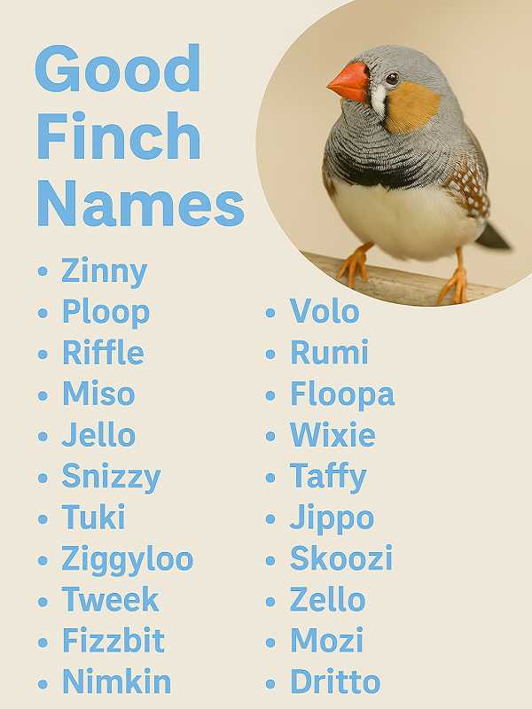 Good Finch Names