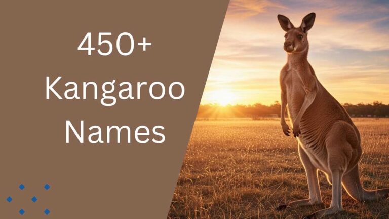 Kangaroo Names