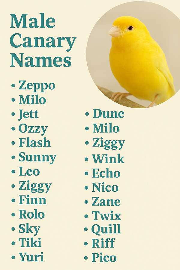 Male Canary Names