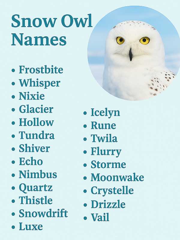 Snow Owl Names