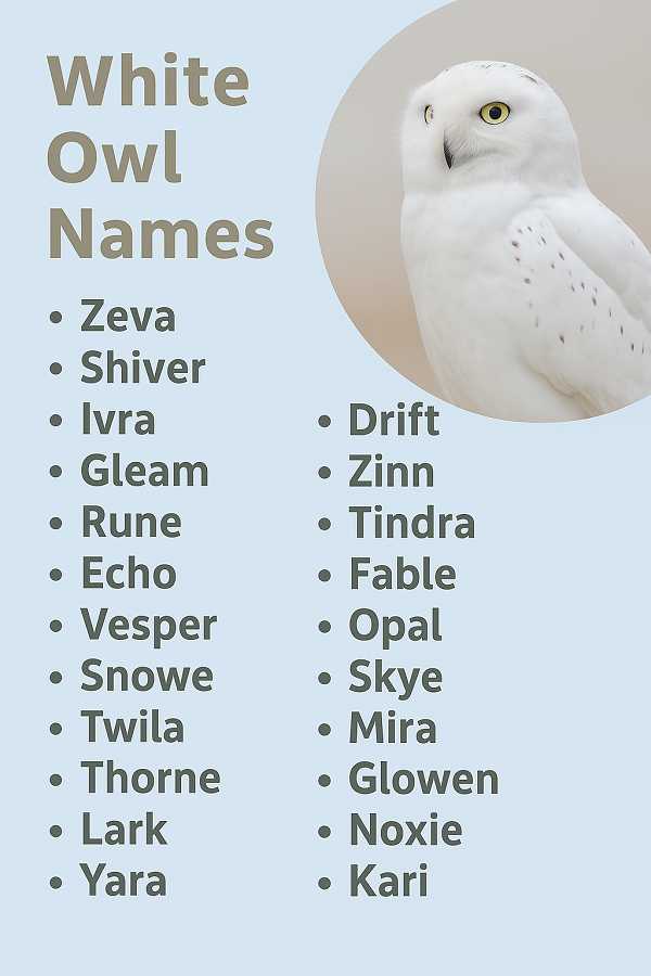 White Owl Names