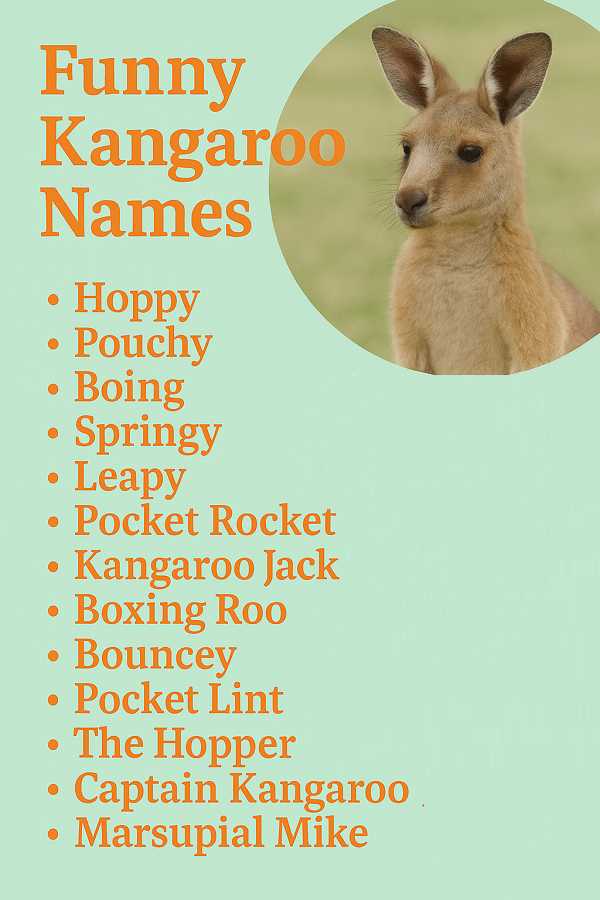 Funny Kangaroo Names
