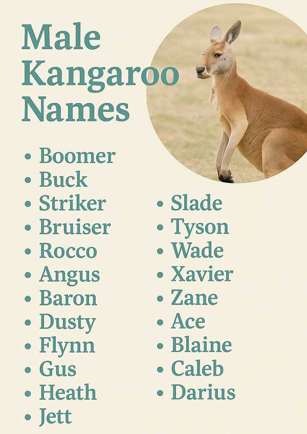 Male Kangaroo Names