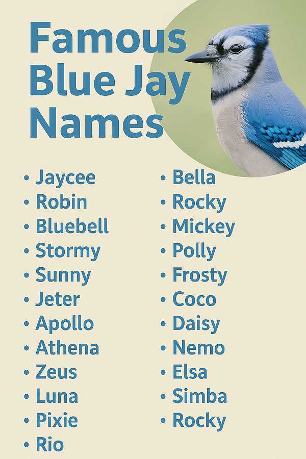 Famous Blue Jay Names