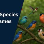 Bird Species Names